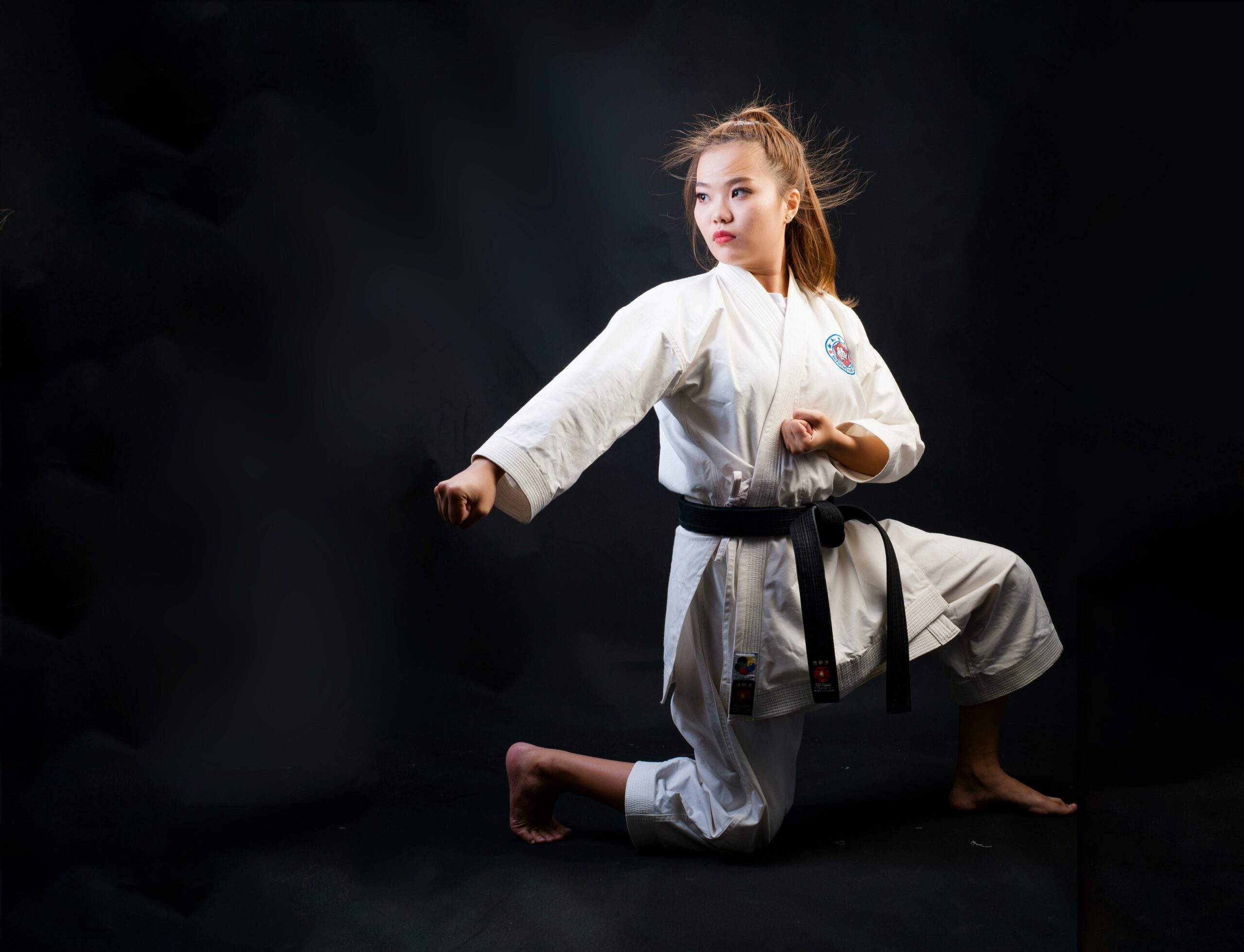 Imagen de Kenpo Karate - Chinese & Philippines Martial Arts